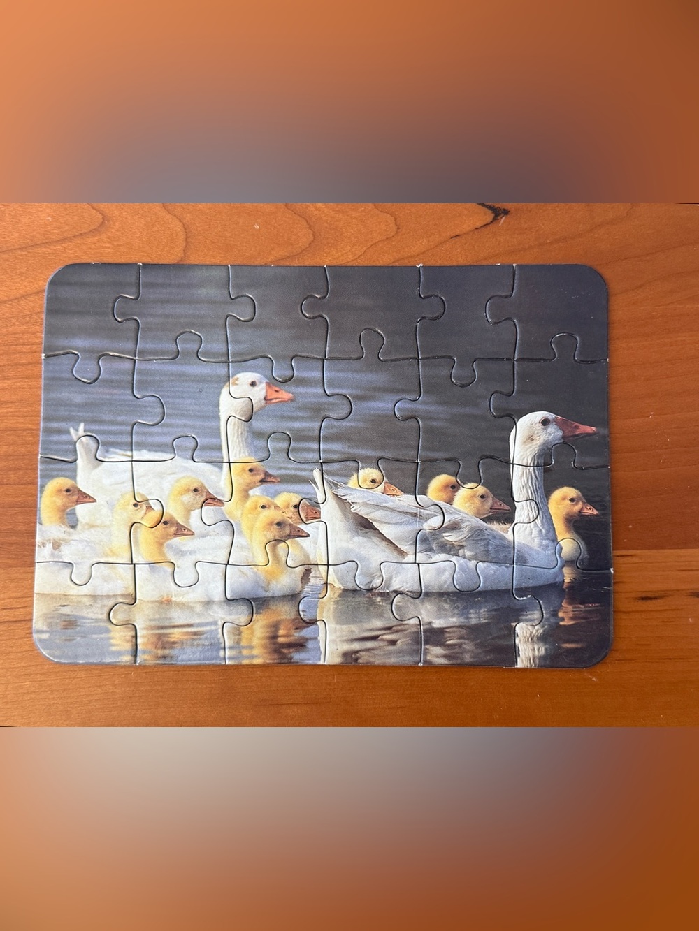 Duck Family Puzzle - 24 piece puzzle - 24 pcs